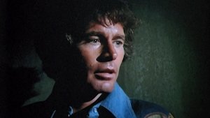 Do You Still Beat Your Wife?