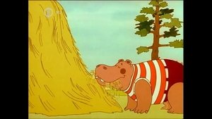 Trouble With the Full Hippo