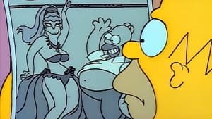 Homer's Night Out