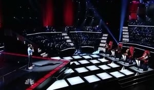 The Blind Auditions (3)