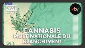 Cannabis, the multinational laundering company