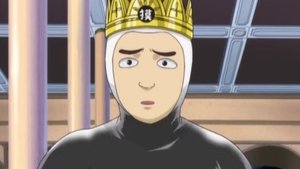 The Human Body Is Like a Little Universe