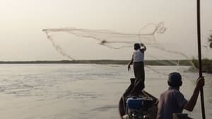 Fishing with Dolphins: Myanmar