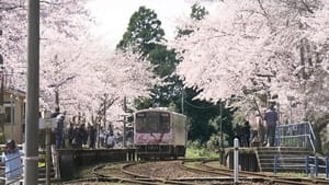 The Station Under the Cherry Blossoms