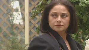 Meetings in the Garden