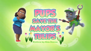 Pups Save the Mayor's Tulips