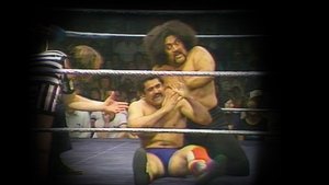 WWF Championship Wrestling - May. 17, 1980