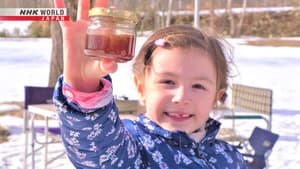 Making Maple Syrup: A Treasure in the Woods