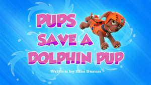 Pups Save a Dolphin Pup