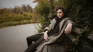 November 11 - Timothée Chalamet