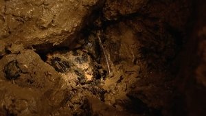 The Bone Caves - Alveston, Gloucestershire