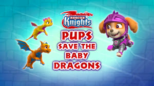 Rescue Knights: Pups Save the Baby Dragons