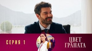 1.1