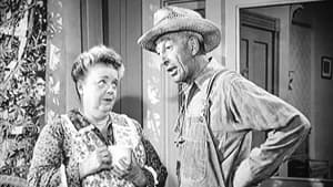 Aunt Bee the Crusader