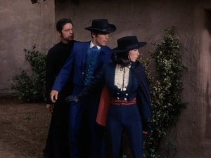 The Night of the Assassin