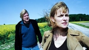 Wallander: Mannen som log, Del 1