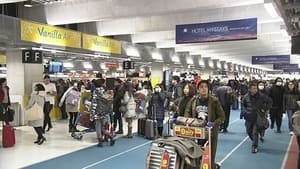 3333 Stones: Japan's Longest Flight of Steps