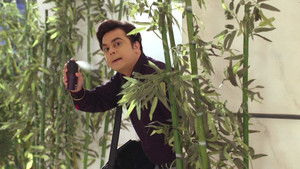 Will The Perfume Work?