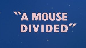A Mouse Divided