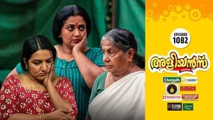 A Dispute Between the Mother-In-Law and Daughter-In-Law!