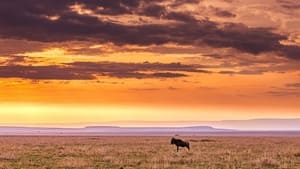 Le meraviglie della Rift Valley