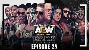 AEW Dark: Elevation #29