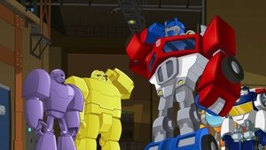 The New Recruits