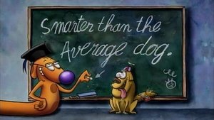 Smarter than the Average Dog