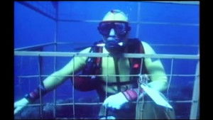 Great White Sharks of Danger Reef