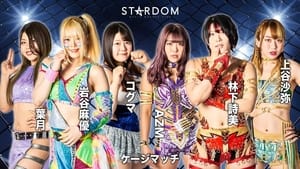 Stardom Fight In The Top ~Nagoya Summit Battle~