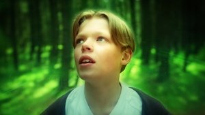 Is it reality or a dream?