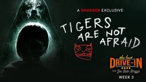 Tigers Are Not Afraid