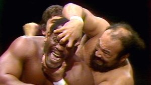 WWF Championship Wrestling - Jan 03, 1981