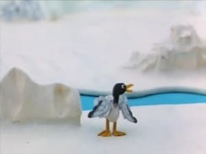 Pingu and the Seagull