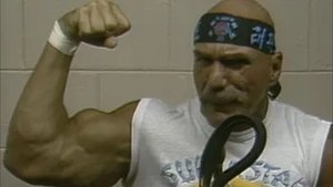 Mid-Atlantic Championship Wrestling - Nov. 17, 1984