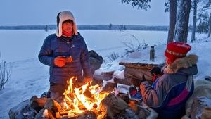 Øvre Pasvik - Gjest i bjørneland