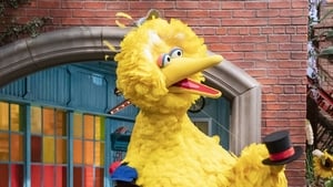 Measuring Big Bird