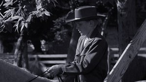 The Snipe Hunt