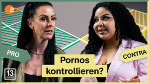 Does the porn industry need to be more regulated?