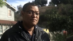 Deep Fried and Minty Fresh