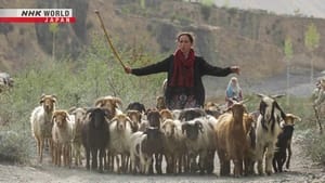 Herding Above the Clouds: Pakistan