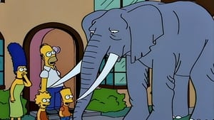 Bart Gets an Elephant