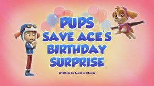 Pups Save Ace's Birthday