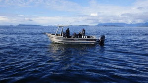 The Troubling Tale of Bute Inlet Gold Pt. 2