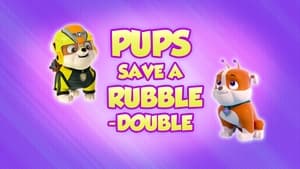 Pups Save a Rubble-Double