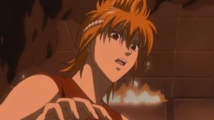 Stress Makes You Bald, but It's Stressful to Avoid Stress, So You End Up Stressed Out Anyway, So in the End There's Nothing You Can Do