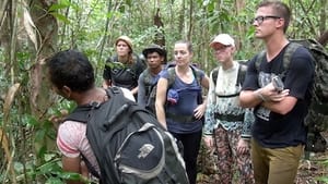 Poachers Turned Eco-Guides in Cambodia