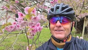 Enjoying Matsumae Cherry Blossoms in Full Bloom by Bicycle