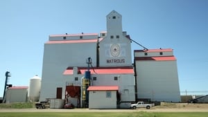 Watrous