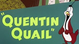 Quentin Quail